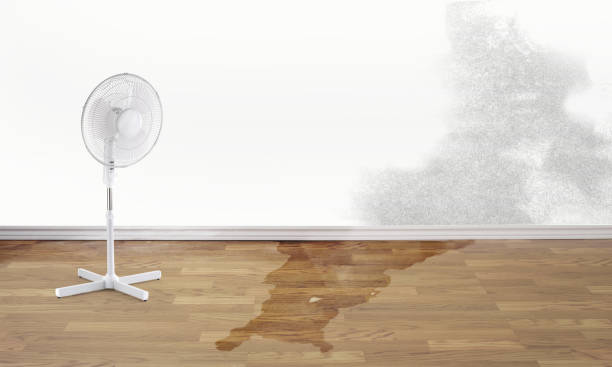 Best Water damage contractors near me  in Fletcher, NC