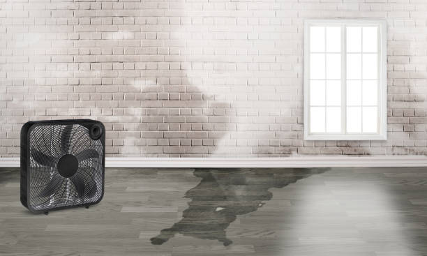Best Fire Damage Restoration  in Fletcher, NC