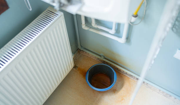 Best Flood restoration services  in Fletcher, NC
